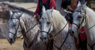 Durandal Rocamadour1 Durandal Rocamadour1