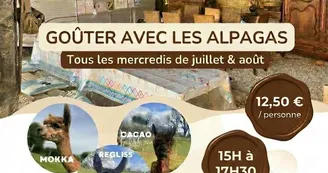 Accueil Accueil
