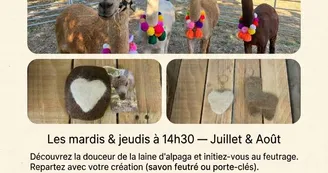Accueil Accueil