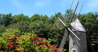 Moulin à Vent de Valiergues_1