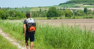 Packraft