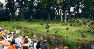 La Vallée des Singes à Romagne_8 La Vallée des Singes à Romagne_8