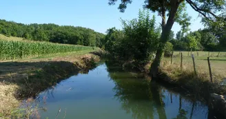 conchez-de-bearn moulin sabathier credit SMT bearn madiran (35) conchez-de-bearn moulin sabathier credit SMT bearn madiran (35)