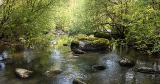 IMG_8397-HDR IMG_8397-HDR