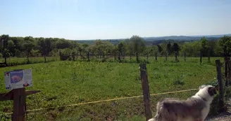 Ferme de Brossard - Ferme Pédagogique_parcours_9