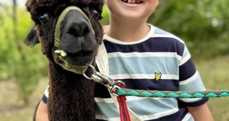 IMG_2585 IMG_2585