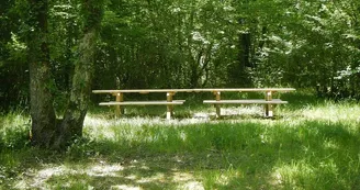 pique nique causse1 pique nique causse1
