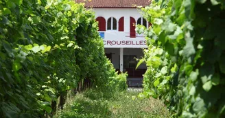 Cave-de-Crouseilles-Crouseilles-vignoble-du-Madiran-et-Pacherenc-du-VicBilh-2 Cave-de-Crouseilles-Crouseilles-vignoble-du-Madiran-et-Pacherenc-du-VicBilh-2