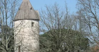 moulin3