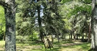 aire pique-nique parc voulgre mussidan table tourisme vallee isle 2025