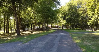 camping camping
