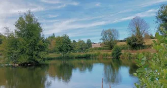 etangs communaux beugnon thireuil