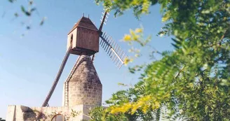 Chalais-Moulin-Puy--d'Ardanne-2