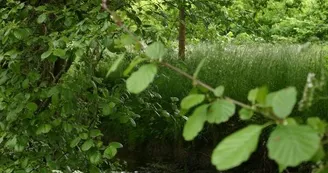 moulin-acquit-Vern-Grignols moulin-acquit-Vern-Grignols