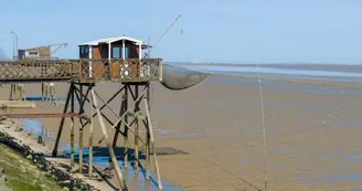Carrelets