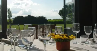 Domaine-de-Pecarrere-Buzet-5