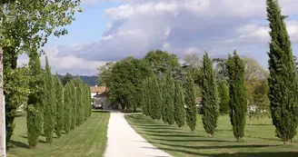 Domaine-de-Pecarrere-Buzet-9