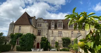 Château le Grand Verdus