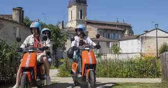 eDOG MARMANDE 1