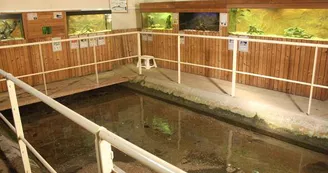 Aquariums du Lavoir_3 Aquariums du Lavoir_3