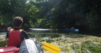 Photo-039_5