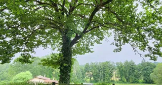 aire-pique-nique-place-saint-jean-eyraud-tourisme-vallee-isle-perigord aire-pique-nique-place-saint-jean-eyraud-tourisme-vallee-isle-perigord