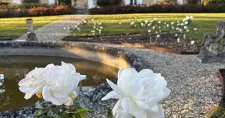 domaine-ecrin-lumiere-chateau-campsegret-tourisme