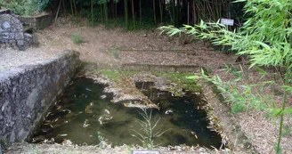 Lavoir des Bournets - Pineuilh - Patrice Coutaud