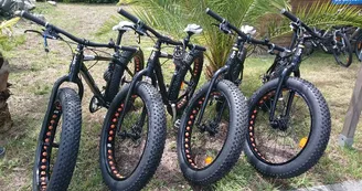 Oxygencycles
