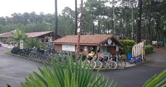 Oxygencycles