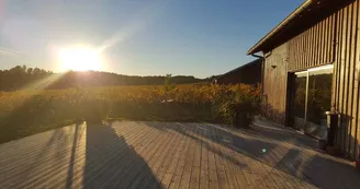 20151031_171623-768x432