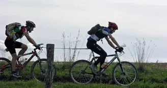 VTT et vélos électriques : BASE Sports Loisirs Vézère_2