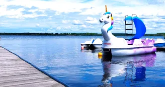 LICORNE CLNT HORIZONTAL LICORNE CLNT HORIZONTAL