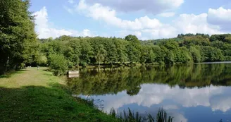 DONTREIX - Etang de Jarmenet