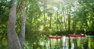 Campagne AdobeStock_232618656 Campagne AdobeStock_232618656