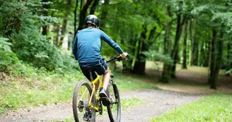 VTT - DSC_6857 - Dan Courtice