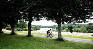 VTT - DSC_7005 - Dan Courtice