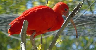 Zoo de Mescoules (1)