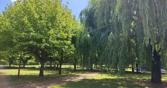 Camping Les Platanes Camping Les Platanes
