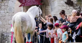 4 Chateau animation cheval jeux enfants bois bridoire 4 Chateau animation cheval jeux enfants bois bridoire