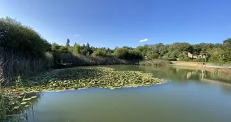 Etang Etang