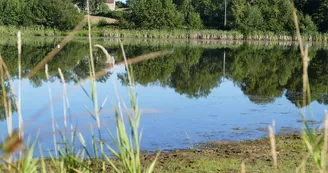 Plan d'eau de la Naute_2 Plan d'eau de la Naute_2