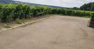Aire de service Champagne Champion - Bergères-sous-Montmirail Aire de service Champagne Champion - Bergères-sous-Montmirail