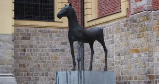 cheval de Flanagan - Douai - Douaisis - Nord - France cheval de Flanagan - Douai - Douaisis - Nord - France
