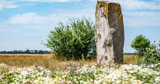 Pierre du Diable Lécluse - Menhir