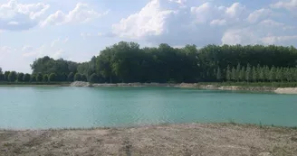 Photo_4.JPG Photo_4.JPG