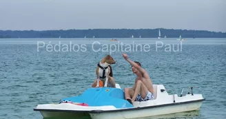 chien ok.JPG