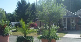 SNV89733.JPG