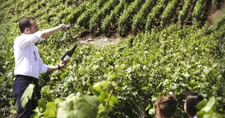 Sabrage vigne © Emmanuel goulet.jpg Sabrage vigne © Emmanuel goulet.jpg