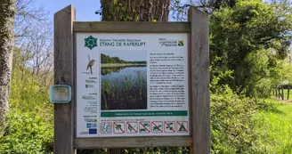 2022 Avril - Etang de Ramerupt, réserve naturelle natonale © OTGLC - AL (38).jpg 2022 Avril - Etang de Ramerupt, réserve naturelle natonale © OTGLC - AL (38).jpg